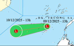 Đề nghị 4 bộ và 12 tỉnh ứng phó vùng áp thấp trên Biển Đông
