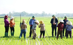 Ra đồng đầu năm, nông dân Quảng Trị bất ngờ được quyền Chủ tịch tỉnh lì xì