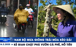 Xem nhanh 12h: Nam bộ mưa giông trái mùa kéo dài | Khóc ngất vì kẻ gian chặt phá vườn cây