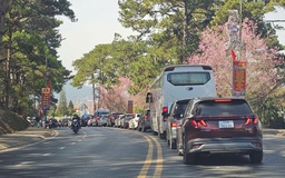 Bất ngờ: Du khách đến Đà Lạt dịp tết giảm