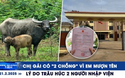 Xem nhanh 12h: Hy hữu chị gái có ‘2 chồng’ vì em mượn tên | Lý do trâu húc người