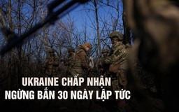 Ukraine chấp nhận đề xuất ngừng bắn của Mỹ, chú ý chuyển sang Nga