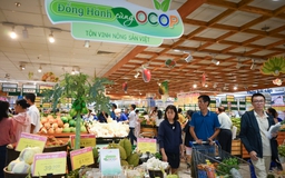 Saigon Co.op cạnh tranh bằng thương mại điện tử