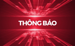 Thông báo về việc lựa chọn tổ chức hành nghề đấu giá tài sản