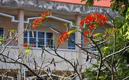 Trường học nổi tiếng vùng Gò Công sắp tròn 70 tuổi