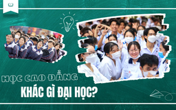 Học cao đẳng khác gì đại học, có thể cạnh tranh với cử nhân không?