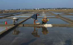 Độc đáo di sản văn hóa phi vật thể: Truyền đời hạt muối Sa Huỳnh