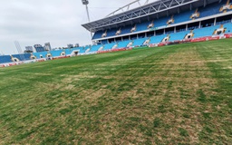 Mặt cỏ sân V-League và nỗi ám ảnh chấn thương