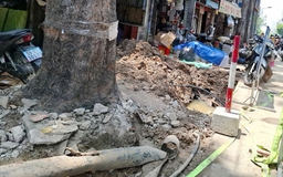 Thi công vỉa hè, ảnh hưởng người dân