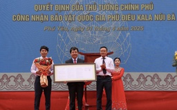 Phú Yên có bảo vật quốc gia đầu tiên