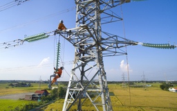 Nhu cầu dùng điện cho nuôi tôm, tưới tiêu, trồng thanh long... giảm 37 triệu kWh