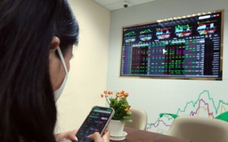 Đến lượt cổ phiếu Vingroup, Sacombank kịch trần đưa VN-Index tăng hơn 54 điểm