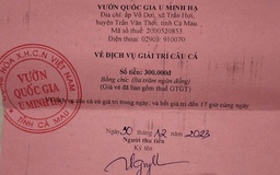 Vụ Vườn quốc gia U Minh Hạ tự in vé câu cá: Thành lập tổ kiểm tra