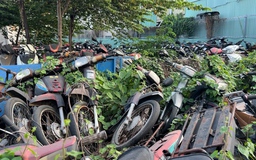 9 loại tài sản được xác lập sở hữu toàn dân