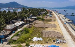 Hàng chục cơ sở chế biến mực gây ô nhiễm suốt nhiều năm
