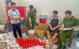 Làm giả thuốc diệt chuột từ gạo, bán trên Facebook, thu hơn 5 tỉ đồng