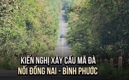 Đồng Nai kiến nghị xây cầu, đường xuyên rừng Mã Đà nối tỉnh Bình Phước