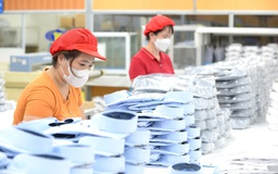 Bộ Công thương thu hồi quyền cấp C/O... của VCCI