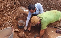 Phát hiện nhiều di cốt người tiền sử ở Nghệ An