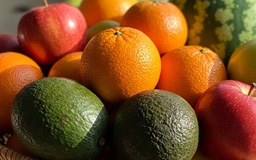 Điều gì xảy ra với cơ thể khi mỗi ngày đều ăn những món giống nhau?