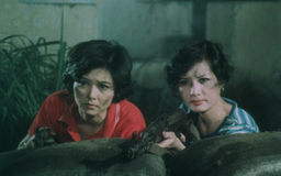 Ba mỹ nhân phim ‘Biệt động Sài Gòn’ có cuộc sống ra sao?