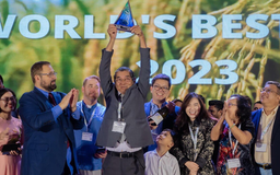 Từ đồng ruộng miền Tây đến đỉnh vinh quang thế giới