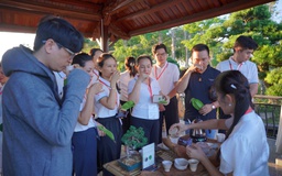 Những bước chân thảnh thơi vô ngã với trà: Mong phát triển văn hóa trà Việt