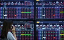 Hơn 45.000 tỉ đồng gom mua cổ phiếu, VN-Index lấy lại mốc 1.200 điểm