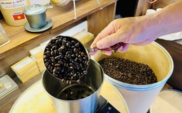 Giá cà phê giảm kỷ lục
