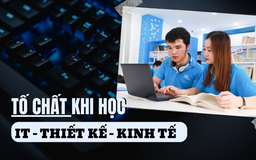 Các tố chất cần thiết khi theo học khối ngành IT - Thiết kế - Kinh tế