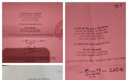Vụ Vườn quốc gia U Minh Hạ in vé câu cá: Báo cáo Tỉnh ủy Cà Mau