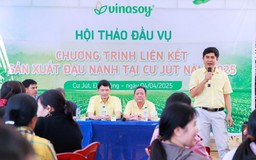 Vụ mới bắt đầu trên 'Cánh đồng đạm tự nhiên' ở Cư Jút