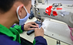Cơ hội tái cấu trúc cả xuất và nhập khẩu