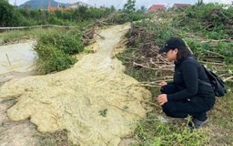 Hiện tượng lạ ở Phú Yên: Lại trào bùn nước sau 46 năm