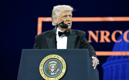 Tài sản ông Trump mất nửa tỉ USD từ ngày khởi động áp thuế