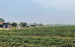 Dân bức xúc vì ô nhiễm môi trường