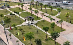 Bộ Công an yêu cầu Long An cung cấp hồ sơ 36 dự án cây xanh