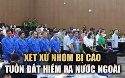 Xét xử nhóm bị cáo khai thác và tuồn hàng tấn đất hiếm ra nước ngoài