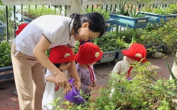 Thu nhập chưa tương xứng, giáo viên mầm non bỏ việc chiếm tỷ lệ cao