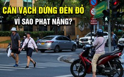 Lỡ dừng đèn đỏ cán vạch, tài xế vội lùi lại vì sợ bị phạt nặng như vượt đèn đỏ