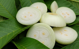 Phát hiện loại củ quả dân dã là 'khắc tinh của ung thư'