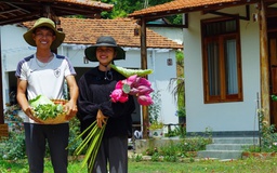 Bỏ phố về quê, vợ chồng trẻ tạo mảnh vườn 3.000 m² đẹp như mơ