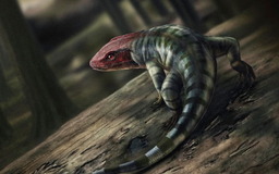 Phát hiện lật lại lịch sử tiến hóa trên cạn