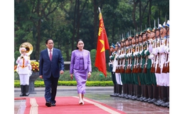 Tin tức đặc biệt trên báo in Thanh Niên 17.5.2025