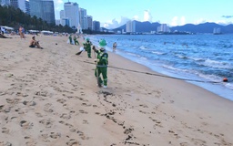 Dầu vón cục lại dạt vào bờ biển Nha Trang