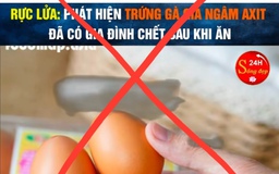 Tin đồn trứng gà giả khiến người chăn nuôi điêu đứng