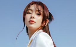 Fan sắc đẹp quốc tế bàn tán xôn xao vụ Thùy Tiên bị khởi tố