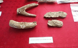 Hé lộ nghĩa địa 5.000 năm tuổi ở Quỳnh Văn