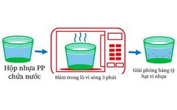 Dùng hộp nhựa hâm nóng thức ăn trong lò vi sóng: Có an toàn cho sức khỏe?