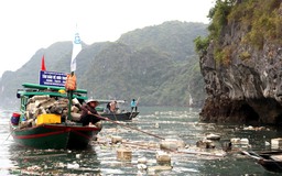 Tàu du lịch vịnh Hạ Long bị dừng hoạt động vì để khách dùng chai nhựa